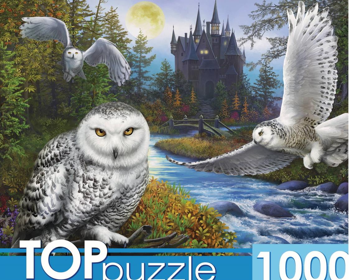 Пазл TOP Puzzle 1000 деталей: Магическая сова и замок (Ф1000-9941)