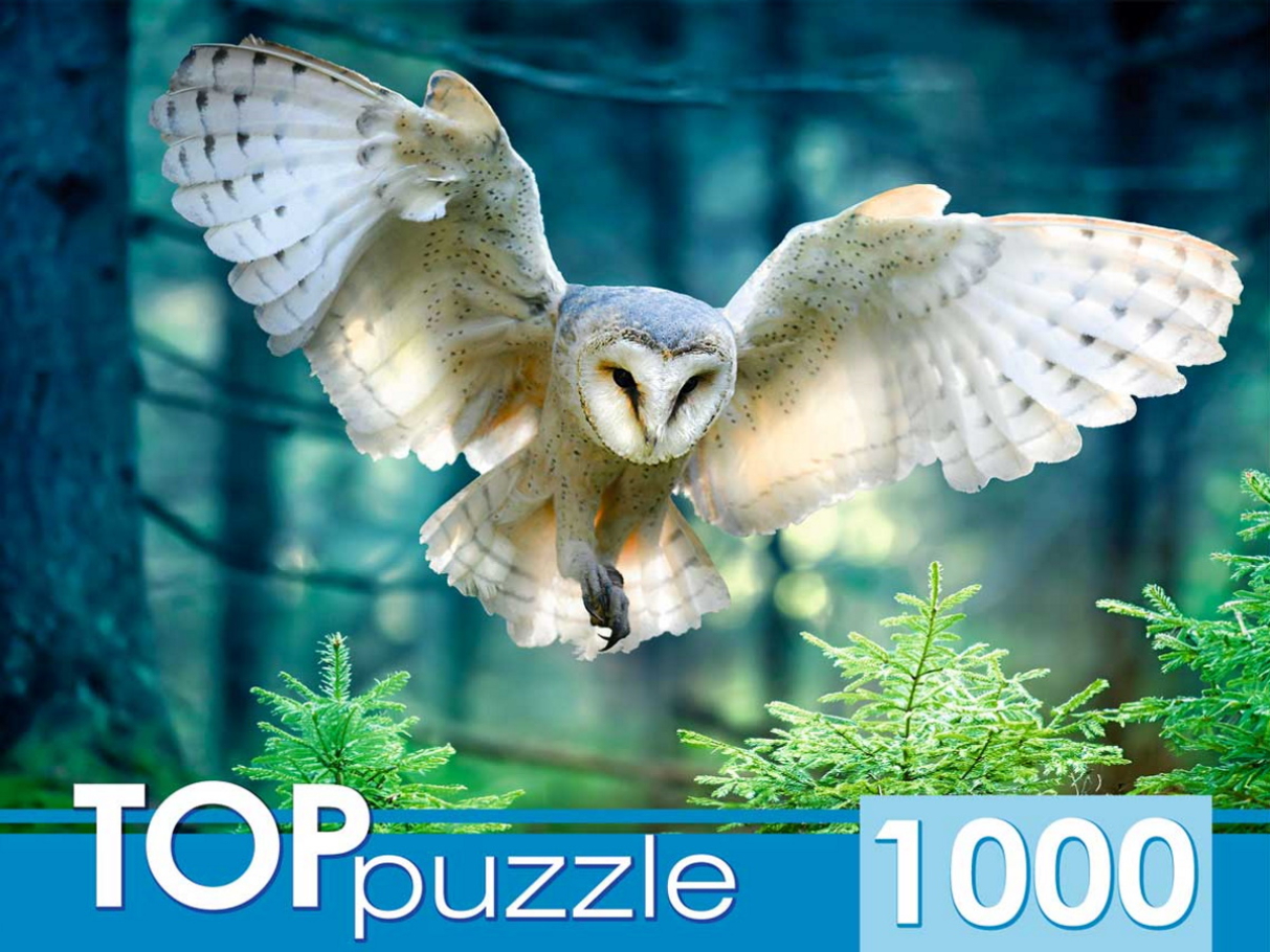 Пазл TOP Puzzle 1000 деталей: Полет совы (ШТ1000-3870)