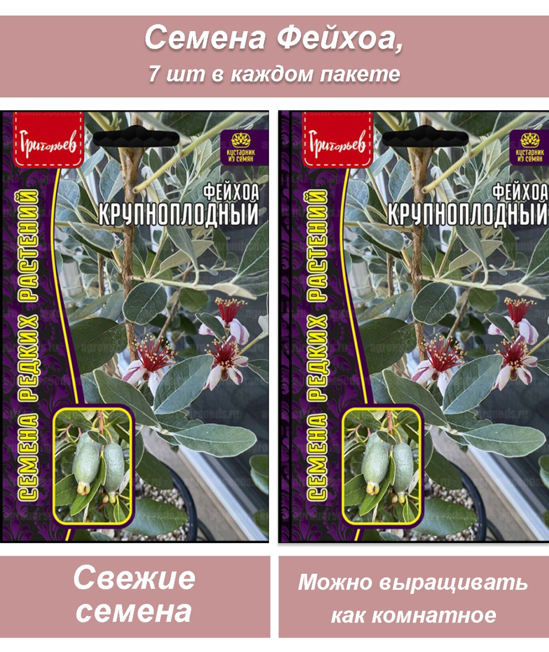 Фейхоа
