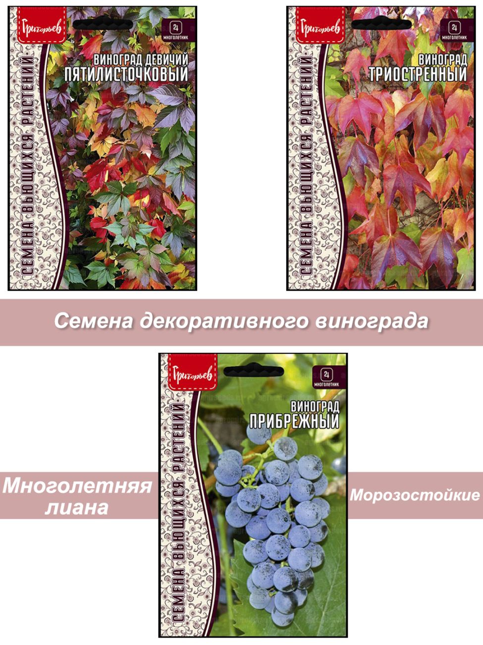 Семена винограда