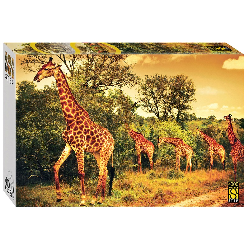 Пазл Step puzzle 4000 деталей: Южноафриканские жирафы (85420)