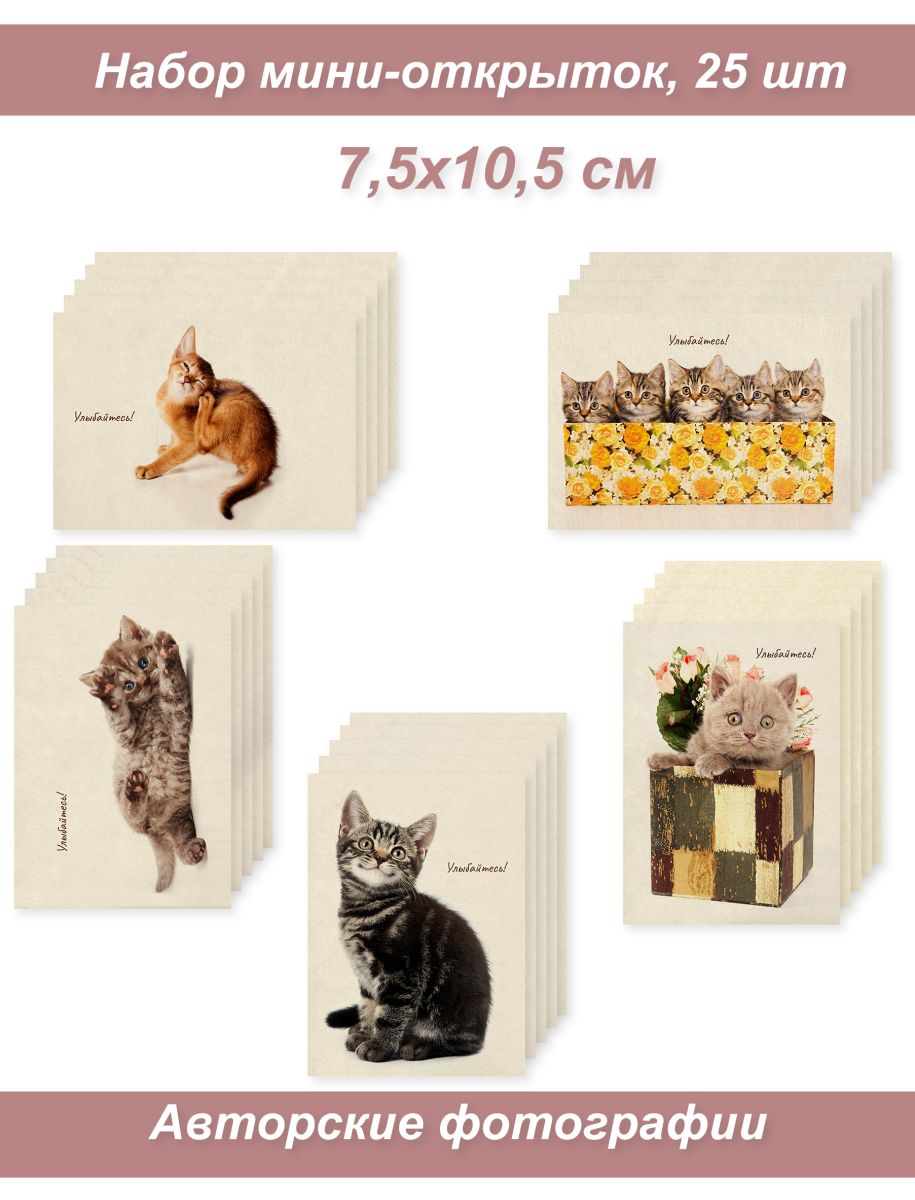 Открытка 2, котята