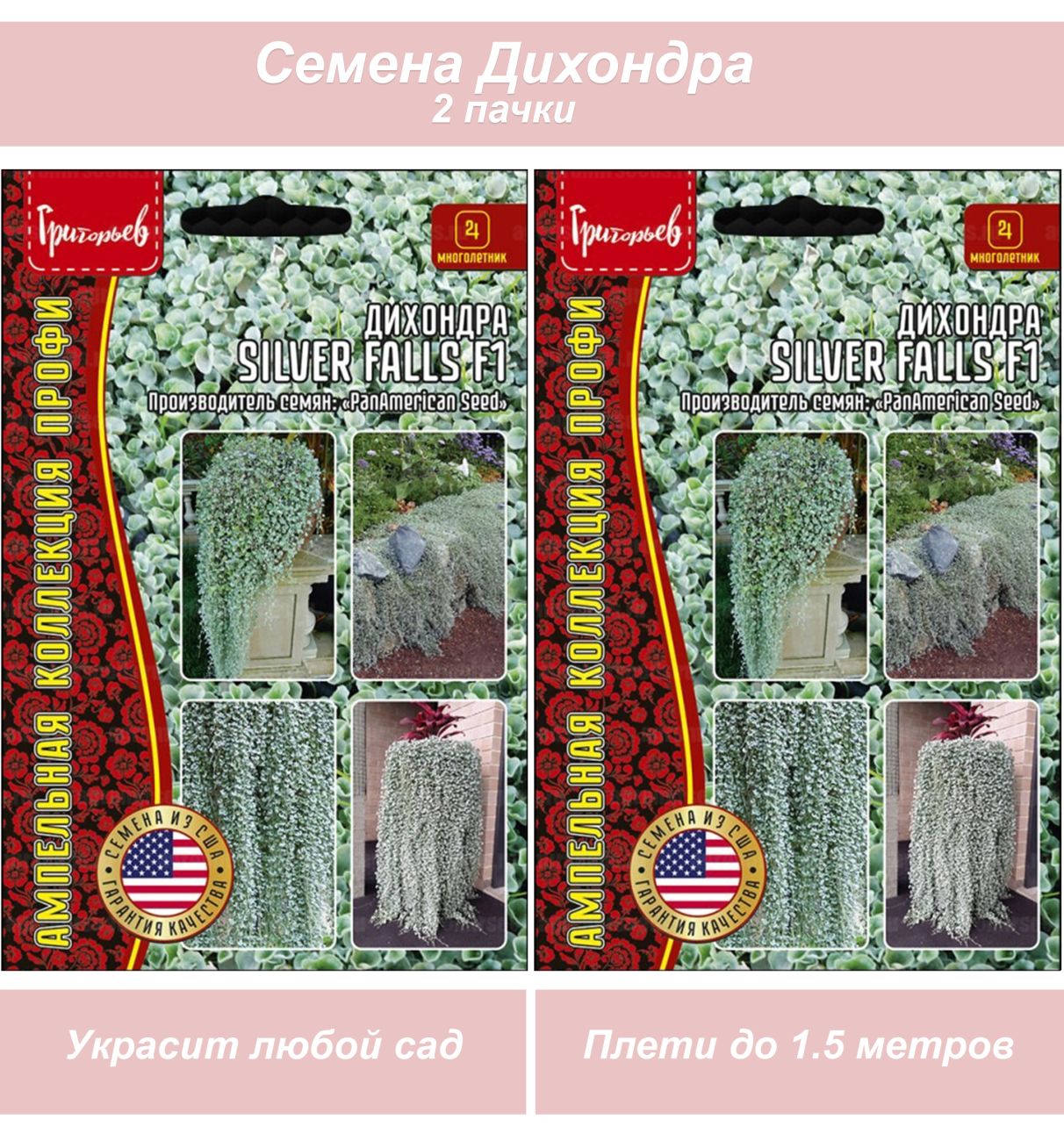 Дихондра 2