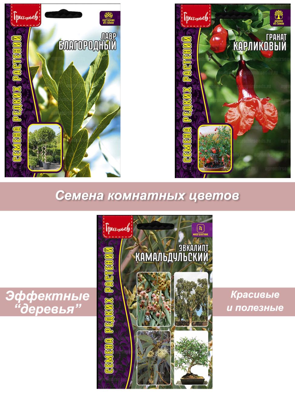 Лавр, гранат, эвкалипт
