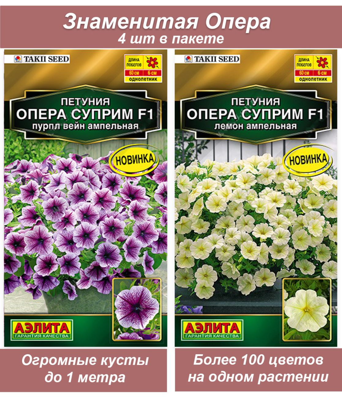 Опера 43