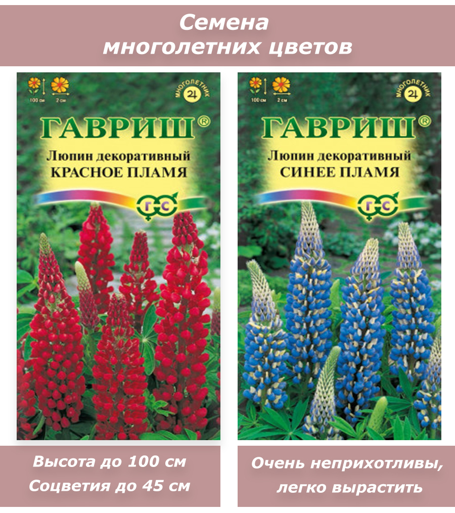 Люпин