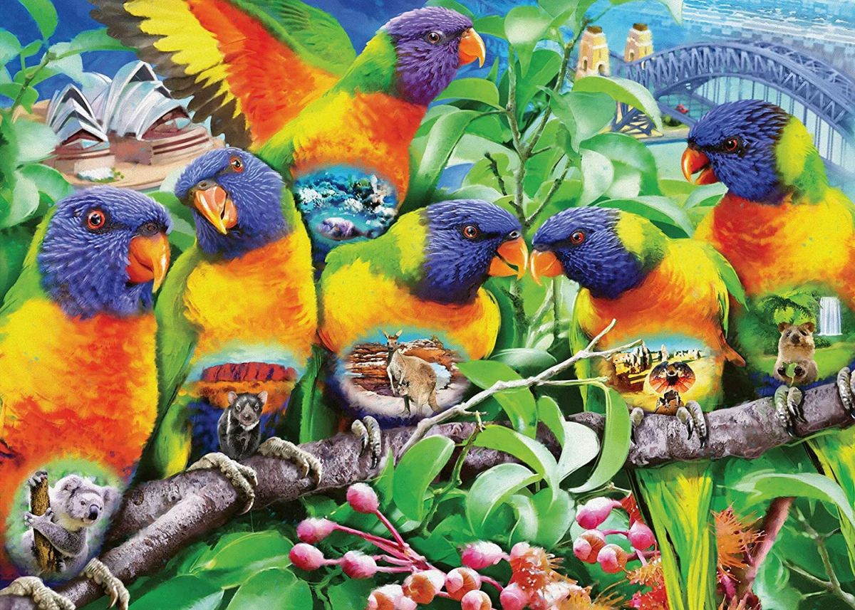Пазл Ravensburger 1000 деталей: Страна Лорикитов (RV16815)