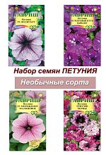 Петуния Первая