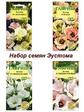 ЭУСТОМА ПЕРВЫЙ