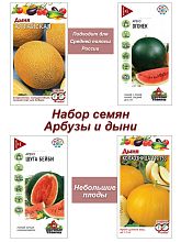 Арбуз и Дыня